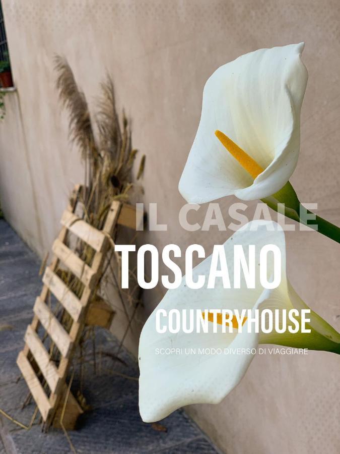 - Il Casale Toscano - 1900Mt From Leaning Tower - No Breakfast - Free Parking Пиза Екстериор снимка